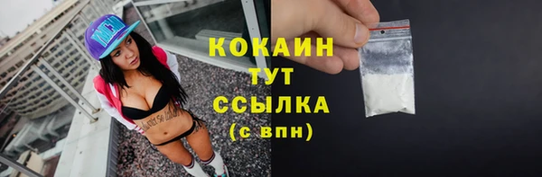 твердый Корсаков