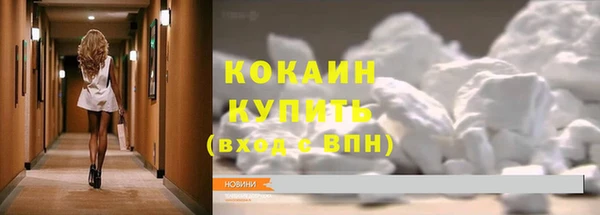 твердый Корсаков