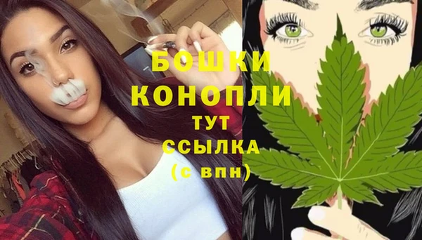 соль ск Краснослободск