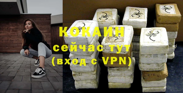 твердый Корсаков