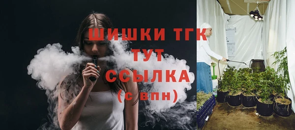 соль ск Краснослободск