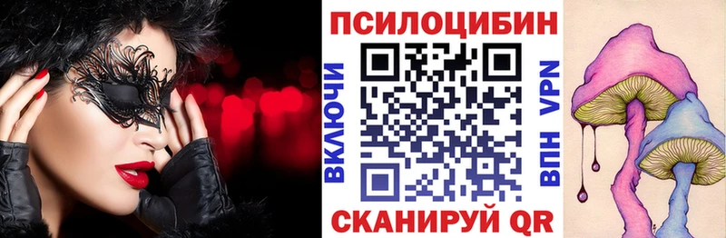 Купить закладки  Озёрск  Галлюциногенные грибы Cubensis 